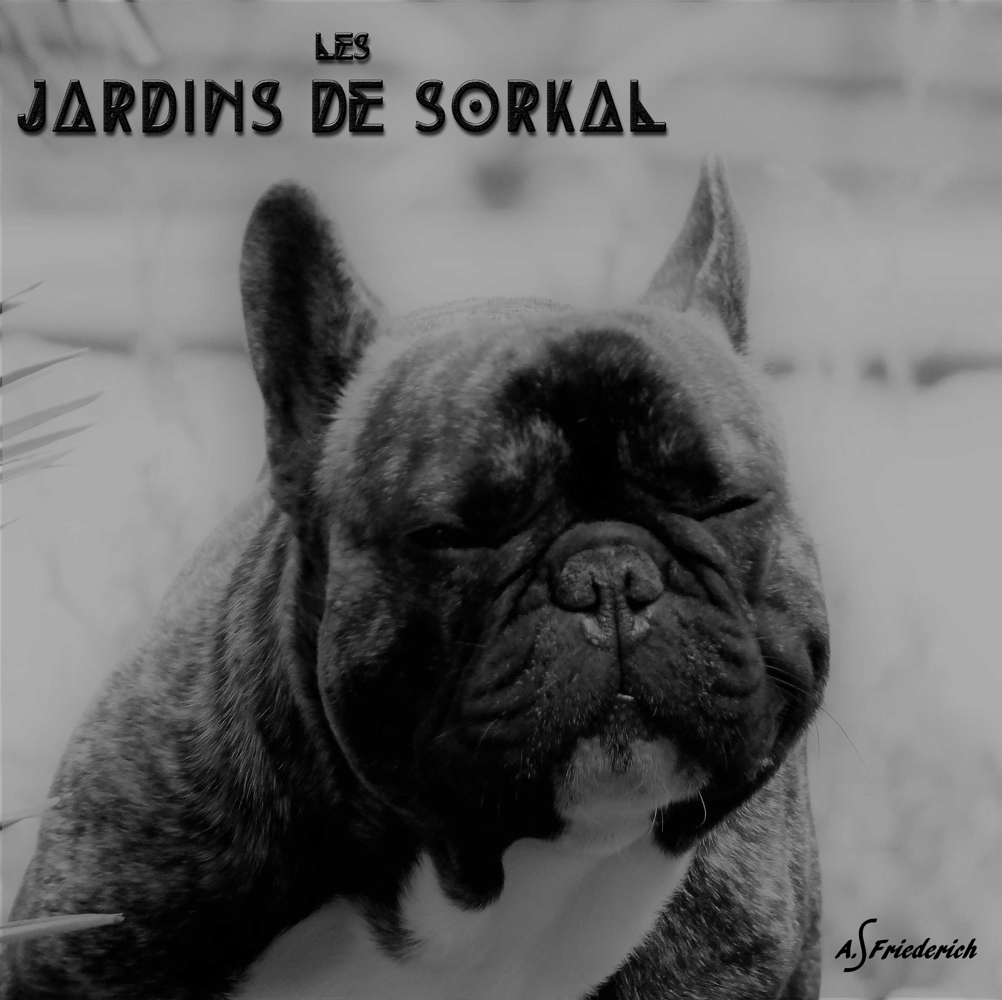 Des Jardins De Sorkal