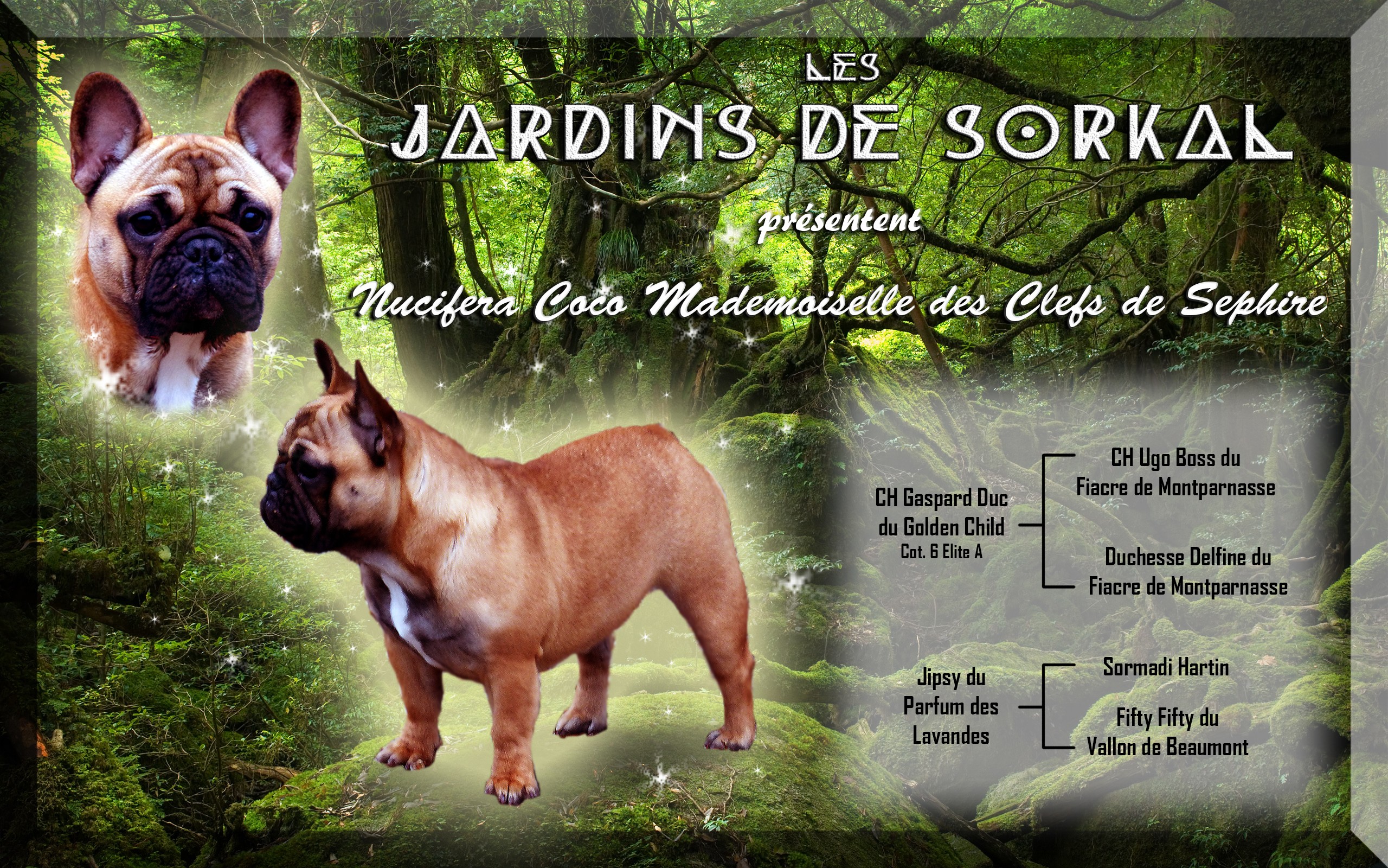 Nucifera coco mademoiselle des clefs de Séphire