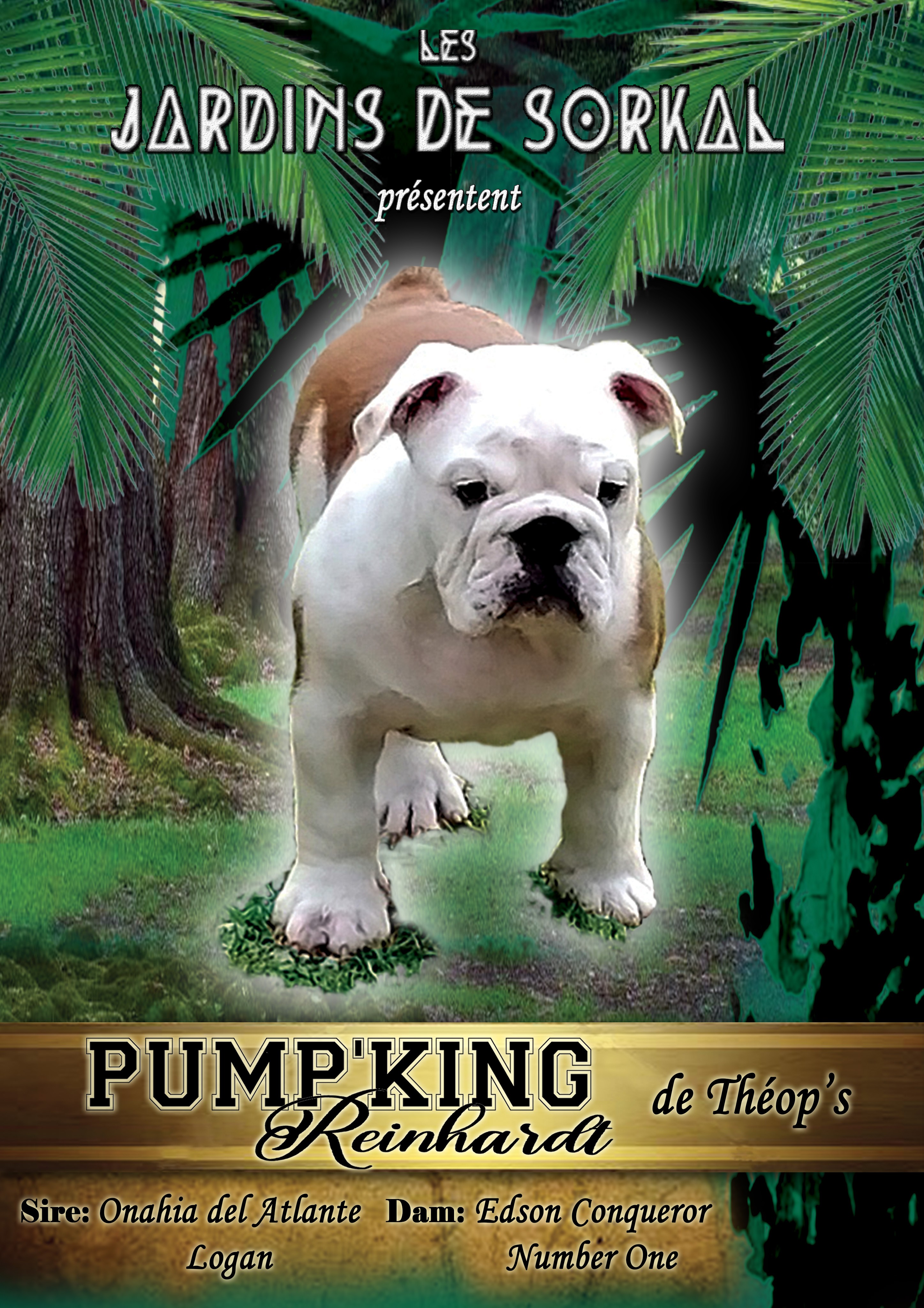Pump king reinhardt de Théop's