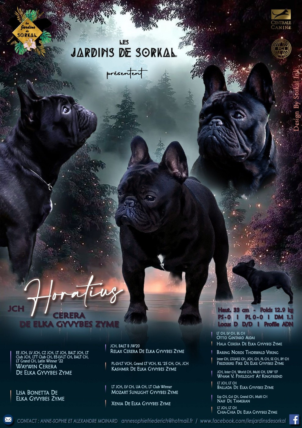 HORATIUS CERERA DE ELKA GYVYBES ZYME